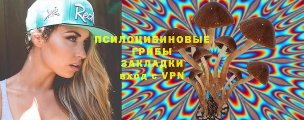 мяу мяу мука Волоколамск