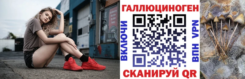 Галлюциногенные грибы прущие грибы MEGA ТОР Ялта купить цена
